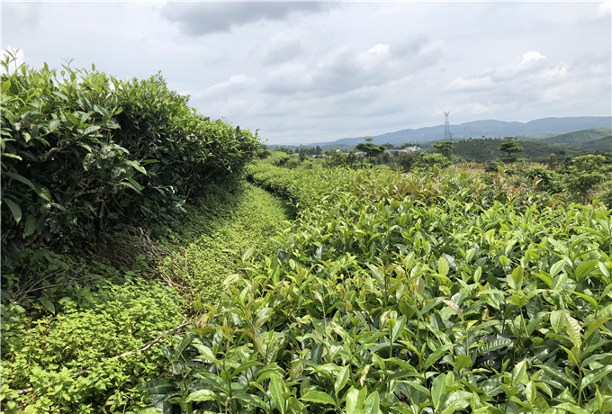 青島會(huì)議就餐費(fèi)用—青島會(huì)議旅游
